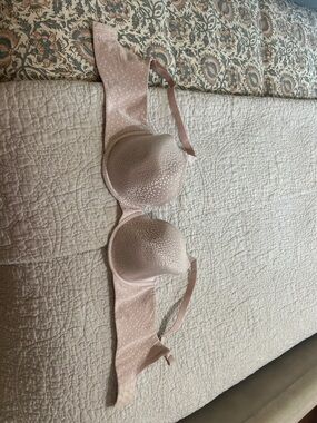Wacoal Blush Pink Molded Cup Bra with Sheer Dot Overlay